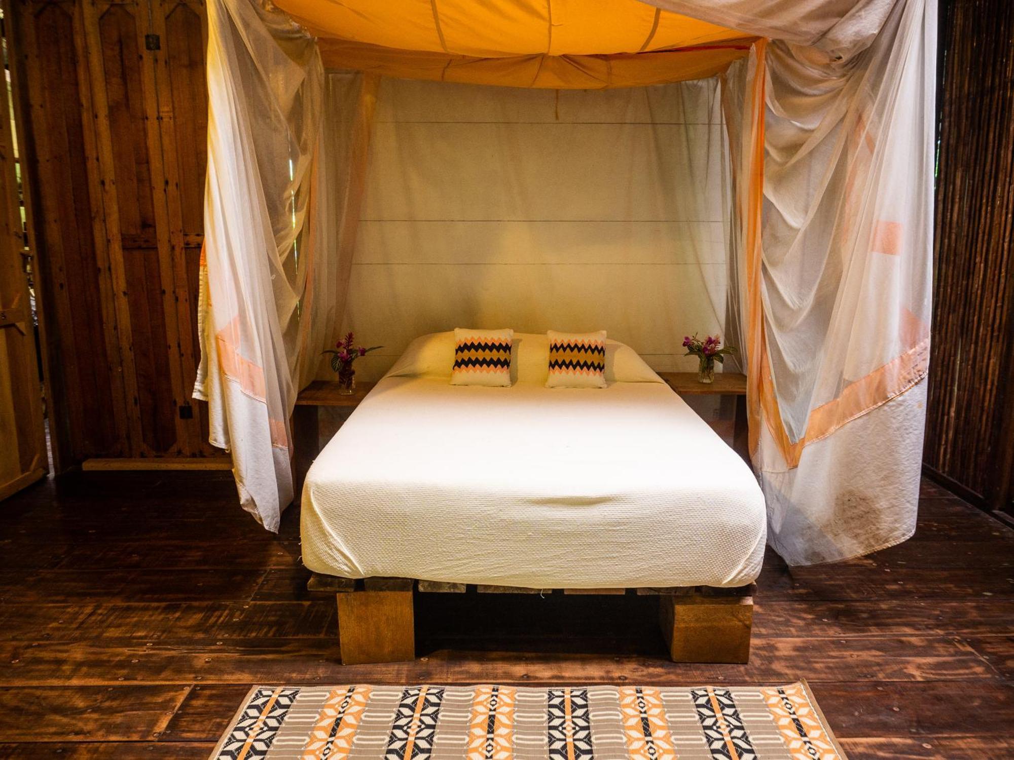 La Loma Jungle Lodge And Chocolate Farm ボカス・タウン 部屋 写真