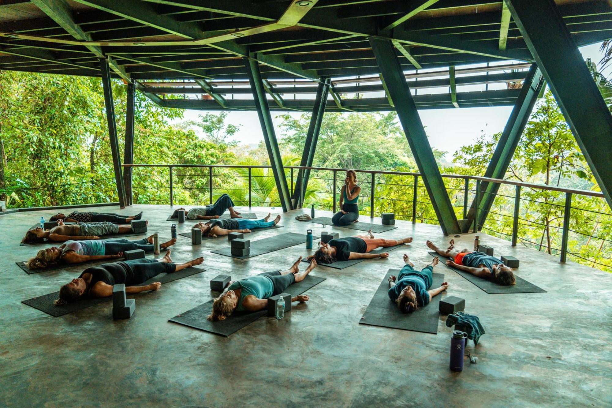 La Loma Jungle Lodge And Chocolate Farm ボカス・タウン エクステリア 写真