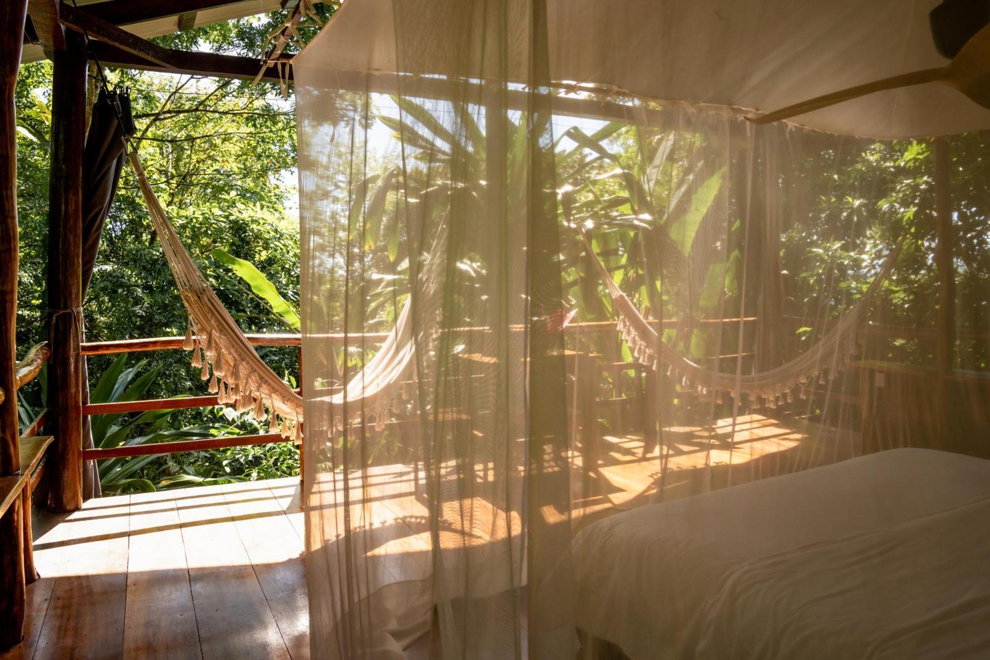 La Loma Jungle Lodge And Chocolate Farm ボカス・タウン エクステリア 写真